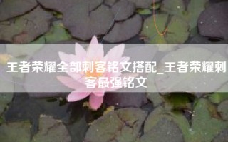 王者荣耀全部刺客铭文搭配_王者荣耀刺客最强铭文