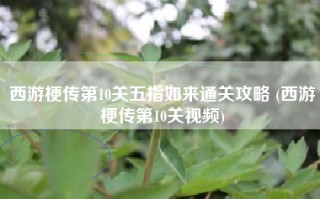 西游梗传第10关五指如来通关攻略 (西游梗传第10关视频)