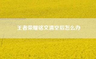王者荣耀铭文清空后怎么办