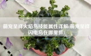 萌宠呈祥火焰鸟技能属性详解(萌宠呈祥闪电鸟在哪里抓)