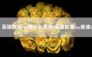 英雄联盟top是什么意思(英雄联盟top是谁)