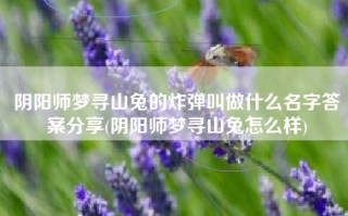 阴阳师梦寻山兔的炸弹叫做什么名字答案分享(阴阳师梦寻山兔怎么样)