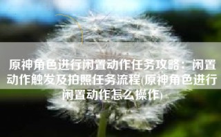 原神角色进行闲置动作任务攻略：闲置动作触发及拍照任务流程(原神角色进行闲置动作怎么操作)