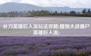补刀英雄巨人流玩法攻略(植物大战僵尸英雄巨人流)