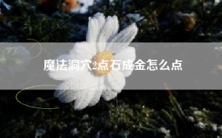 魔法洞穴2点石成金怎么点