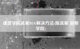 魂器学院流星BUG解决方法(陈流星 派斯学院)