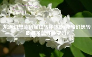 龙族幻想装备属性转移攻略(龙族幻想转职装备属性会变吗)