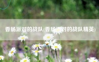 香肠派对的战队(香肠派对的战队精英)