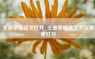 王者荣耀铭文打开_王者荣耀铭文页在哪里打开
