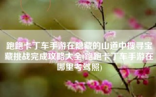 跑跑卡丁车手游在隐藏的山道中搜寻宝藏挑战完成攻略大全(跑跑卡丁车手游在哪里考驾照)