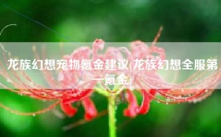 龙族幻想宠物氪金建议(龙族幻想全服第一氪金)