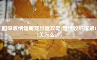 超级收纳馆萌宠出道攻略(超级收纳馆第11关怎么过)