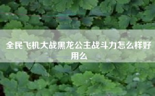 全民飞机大战黑龙公主战斗力怎么样好用么