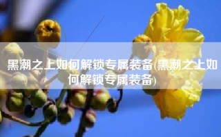 黑潮之上如何解锁专属装备(黑潮之上如何解锁专属装备)