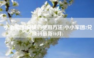 小小军团2兑换码使用方法(小小军团2兑换码最新10月)