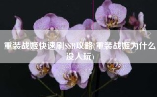 重装战姬快速刷SSR攻略(重装战姬为什么没人玩)