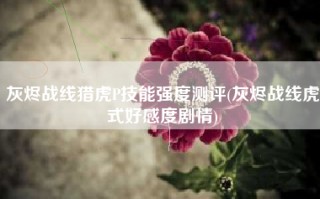灰烬战线猎虎P技能强度测评(灰烬战线虎式好感度剧情)