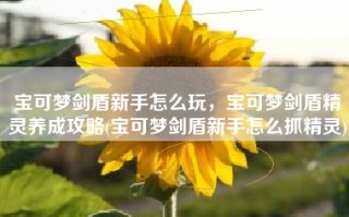 宝可梦剑盾新手怎么玩，宝可梦剑盾精灵养成攻略(宝可梦剑盾新手怎么抓精灵)