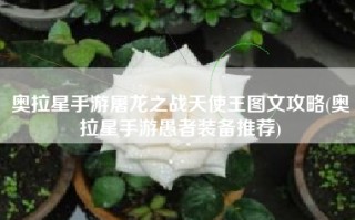 奥拉星手游屠龙之战天使王图文攻略(奥拉星手游愚者装备推荐)
