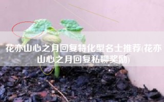 花亦山心之月回复特化型名士推荐(花亦山心之月回复私聊奖励)