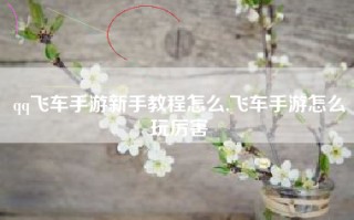 qq飞车手游新手教程怎么,飞车手游怎么玩厉害