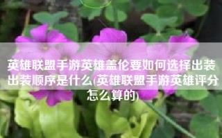 英雄联盟手游英雄盖伦要如何选择出装 出装顺序是什么(英雄联盟手游英雄评分怎么算的)