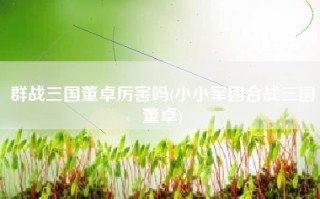 群战三国董卓厉害吗(小小军团合战三国董卓)