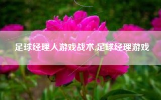 足球经理人游戏战术,足球经理游戏