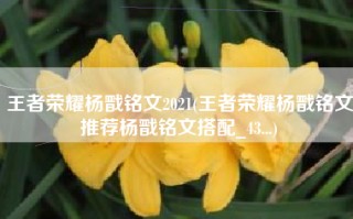 王者荣耀杨戬铭文2021(王者荣耀杨戬铭文推荐杨戬铭文搭配_43...)