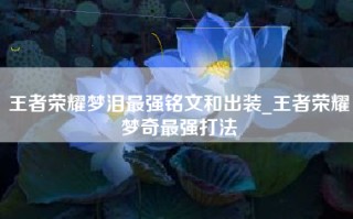 王者荣耀梦泪最强铭文和出装_王者荣耀梦奇最强打法