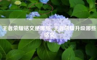 王者荣耀铭文是哪些_王者荣耀升级哪些铭文