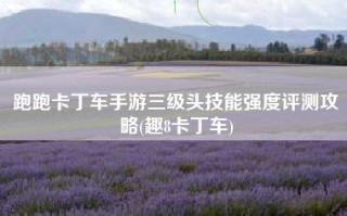 跑跑卡丁车手游三级头技能强度评测攻略(趣8卡丁车)
