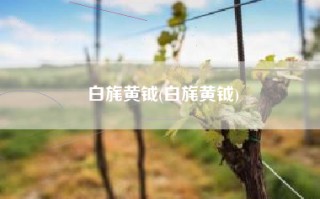 白旄黄钺(白旄黄钺)