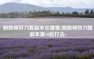 阴阳师妖刀姬副本在哪里(阴阳师妖刀姬副本第10层打法)
