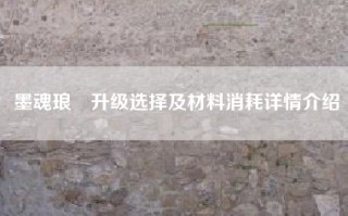 墨魂琅玕升级选择及材料消耗详情介绍