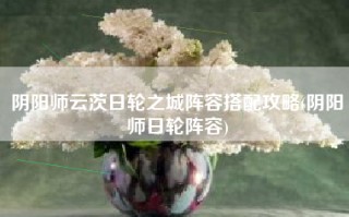 阴阳师云茨日轮之城阵容搭配攻略(阴阳师日轮阵容)