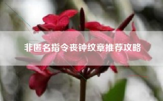 非匿名指令丧钟纹章推荐攻略