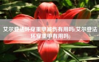 艾尔登法环穿重甲减伤有用吗(艾尔登法环穿重甲有用吗)