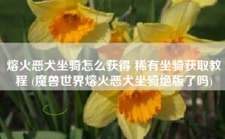 熔火恶犬坐骑怎么获得 稀有坐骑获取教程 (魔兽世界熔火恶犬坐骑绝版了吗)