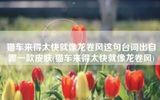 猫车来得太快就像龙卷风这句台词出自哪一款皮肤(猫车来得太快就像龙卷风)