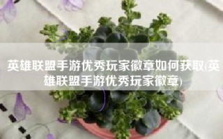英雄联盟手游优秀玩家徽章如何获取(英雄联盟手游优秀玩家徽章)