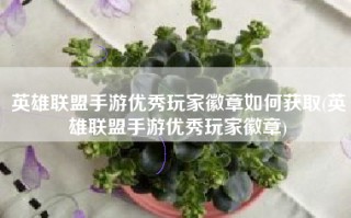 英雄联盟手游优秀玩家徽章如何获取(英雄联盟手游优秀玩家徽章)