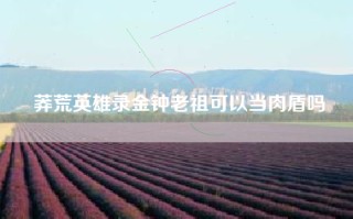 莽荒英雄录金钟老祖可以当肉盾吗