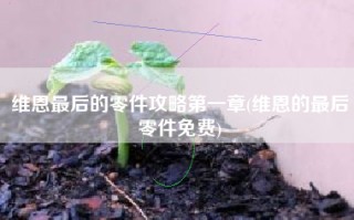 维恩最后的零件攻略第一章(维恩的最后零件免费)