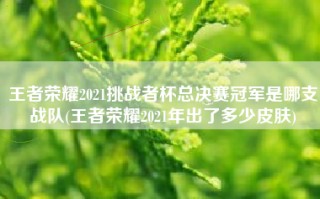 王者荣耀2021挑战者杯总决赛冠军是哪支战队(王者荣耀2021年出了多少皮肤)