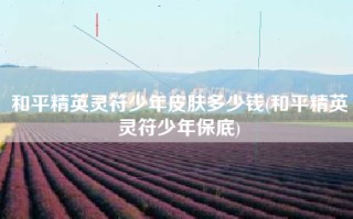 和平精英灵符少年皮肤多少钱(和平精英灵符少年保底)