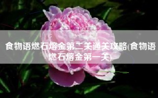 食物语燃石熔金第二关通关攻略(食物语燃石熔金第一关)