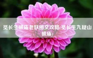 觅长生破庙老妖图文攻略(觅长生九疑山破庙)