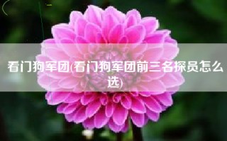 看门狗军团(看门狗军团前三名探员怎么选)