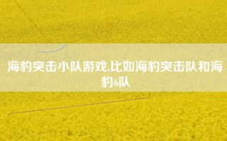 海豹突击小队游戏,比如海豹突击队和海豹6队